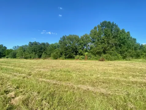 Lot #133 Jb Mcduff Drive Crockett TX 75835