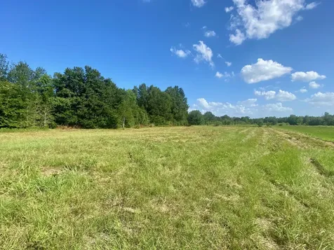 Lot #133 Jb Mcduff Drive Crockett TX 75835