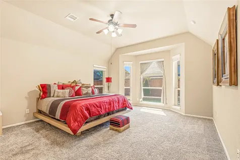 3914 Desert Zinnia Court Manvel TX 77578