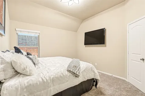 3914 Desert Zinnia Court Manvel TX 77578
