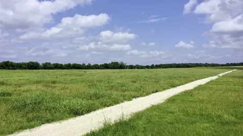 Tbd Cr 328, Tract 7, 10 Acres Caldwell TX 77836