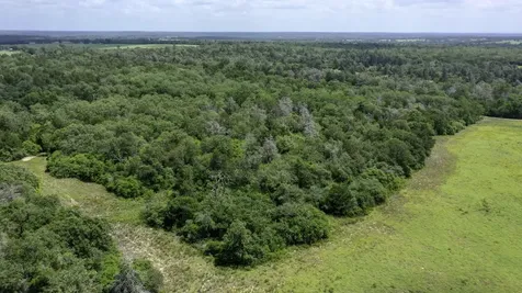 Tbd Cr 328, Tract 7, 10 Acres Caldwell TX 77836