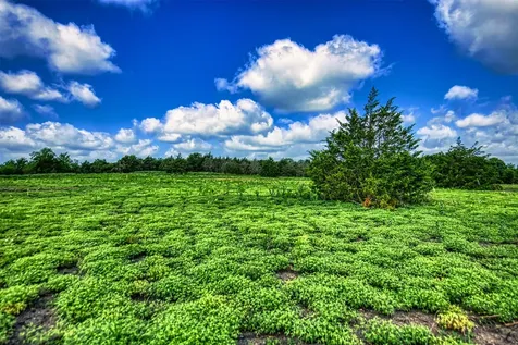 Lot 3 Wonder Hill Road Chappell Hill TX 77426
