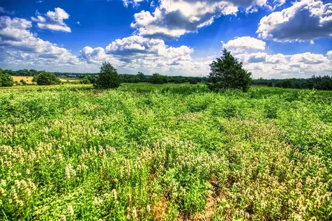 Lot 3 Wonder Hill Road Chappell Hill TX 77426