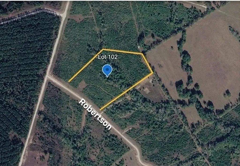Tract 102 Robertson Road Lovelady TX 75851