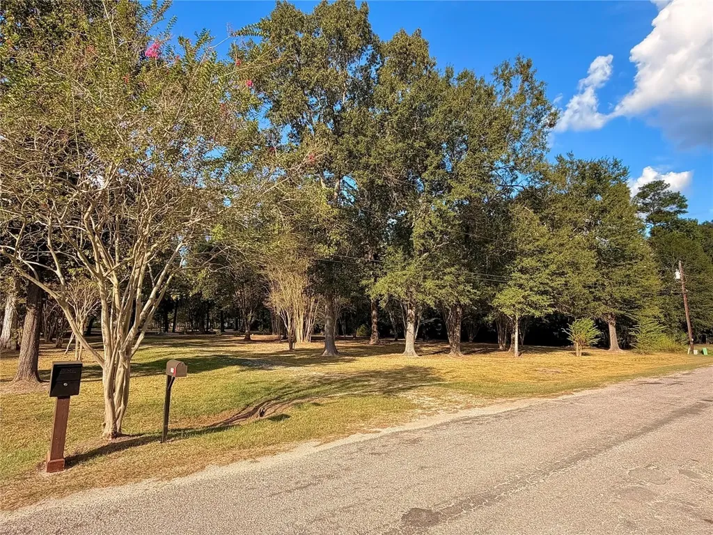 1265 County Road 6479 Dayton TX 77535