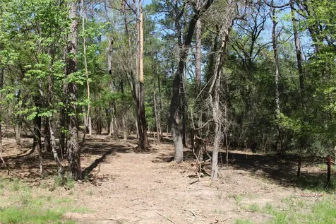 145 Crossed Arrows Grapeland TX 75844