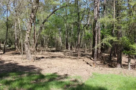145 Crossed Arrows Grapeland TX 75844
