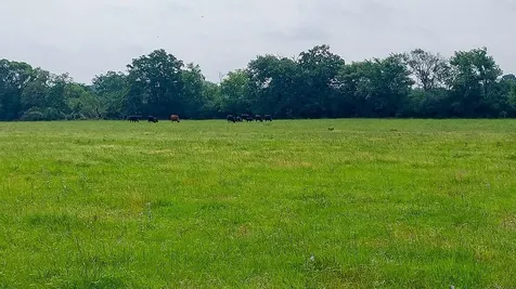 1 County Road 3465 Lovelady TX 75851