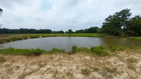 1 County Road 3465 Lovelady TX 75851