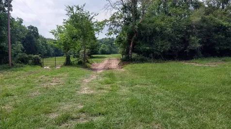1 County Road 3465 Lovelady TX 75851