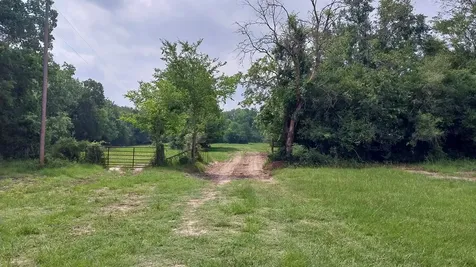 1 County Road 3465 Lovelady TX 75851