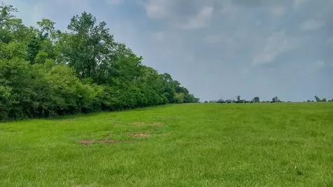 1 County Road 3465 Lovelady TX 75851