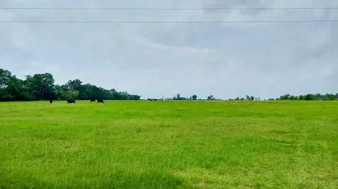 1 County Road 3465 Lovelady TX 75851