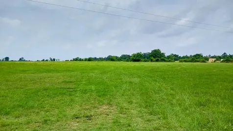 1 County Road 3465 Lovelady TX 75851