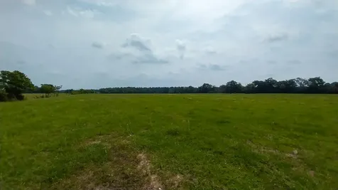 1 County Road 3465 Lovelady TX 75851