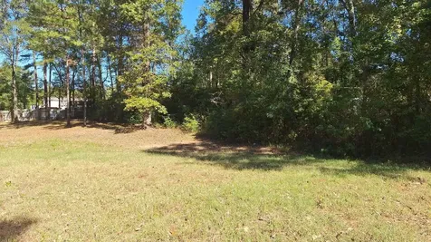185 Amber Lane Livingston TX 77351