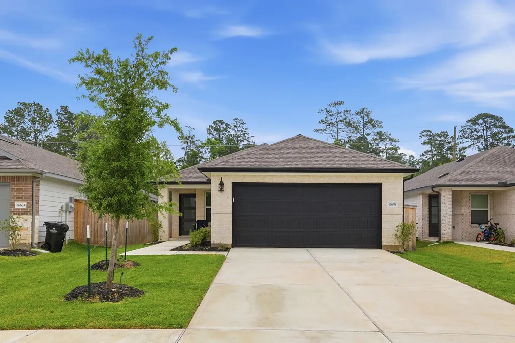 16687 Sterling Cliff Street Conroe TX 77302