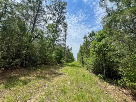 0 Highway 75 North Huntsville TX 77340