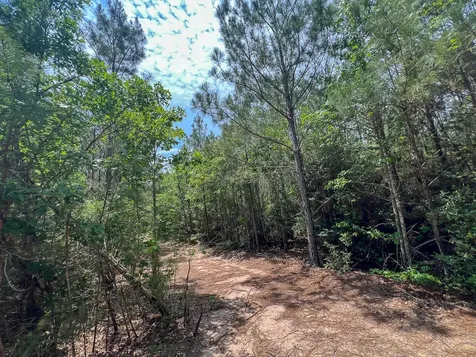 0 Highway 75 North Huntsville TX 77340