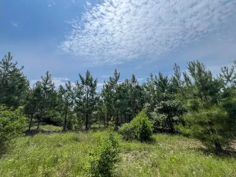 0 Highway 75 North Huntsville TX 77340