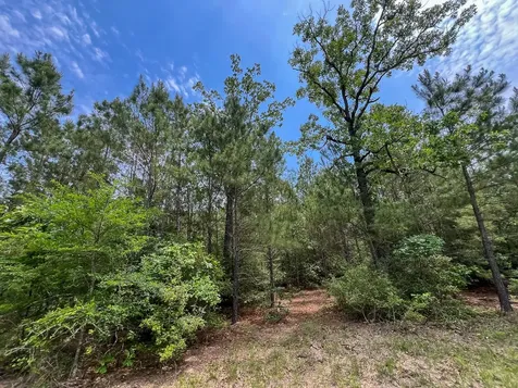 0 Highway 75 North Huntsville TX 77340