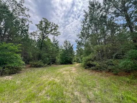 0 Highway 75 North Huntsville TX 77340