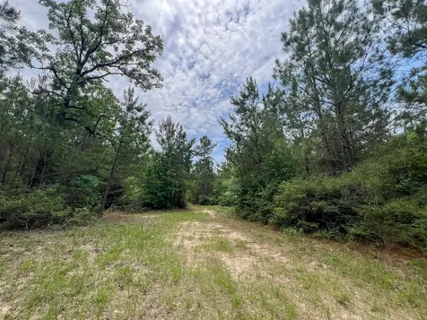 0 Highway 75 North Huntsville TX 77340