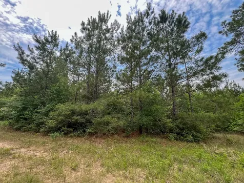 0 Highway 75 North Huntsville TX 77340