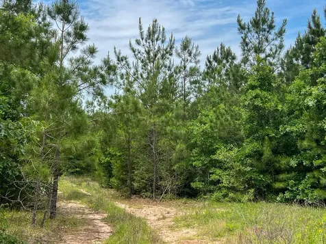 0 Highway 75 North Huntsville TX 77340