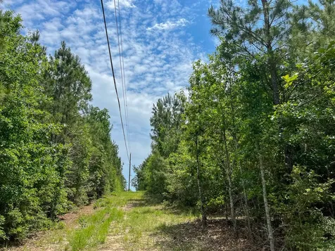0 Highway 75 North Huntsville TX 77340