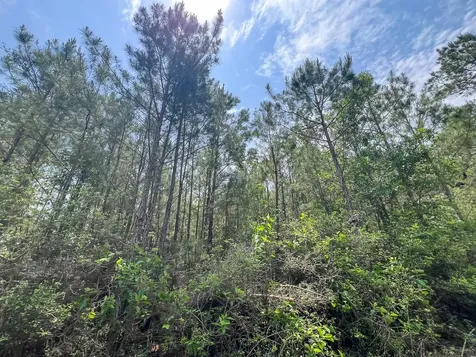 0 Highway 75 North Huntsville TX 77340