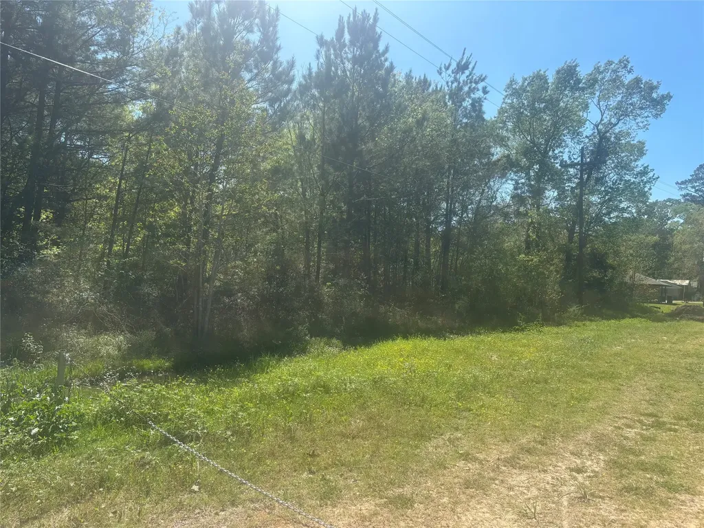 Tbd Parkhurst Avenue Cleveland TX 77327