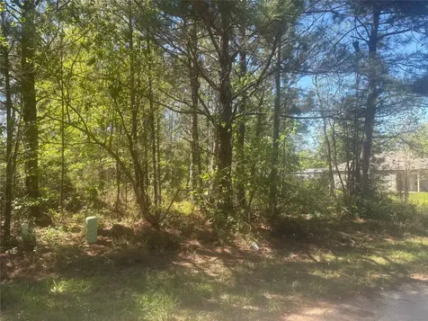 Tbd Parkhurst Avenue Cleveland TX 77327