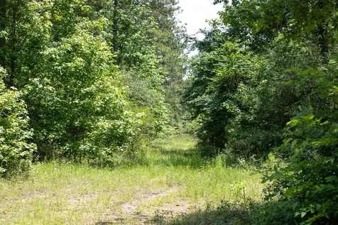 T2,4,5 Highway 190 Oakhurst TX 77359