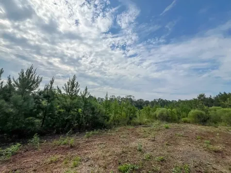 2 Fm 1987 Corrigan TX 77351