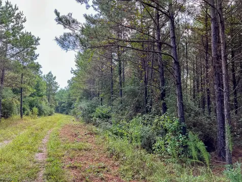 2 Fm 1987 Corrigan TX 77351