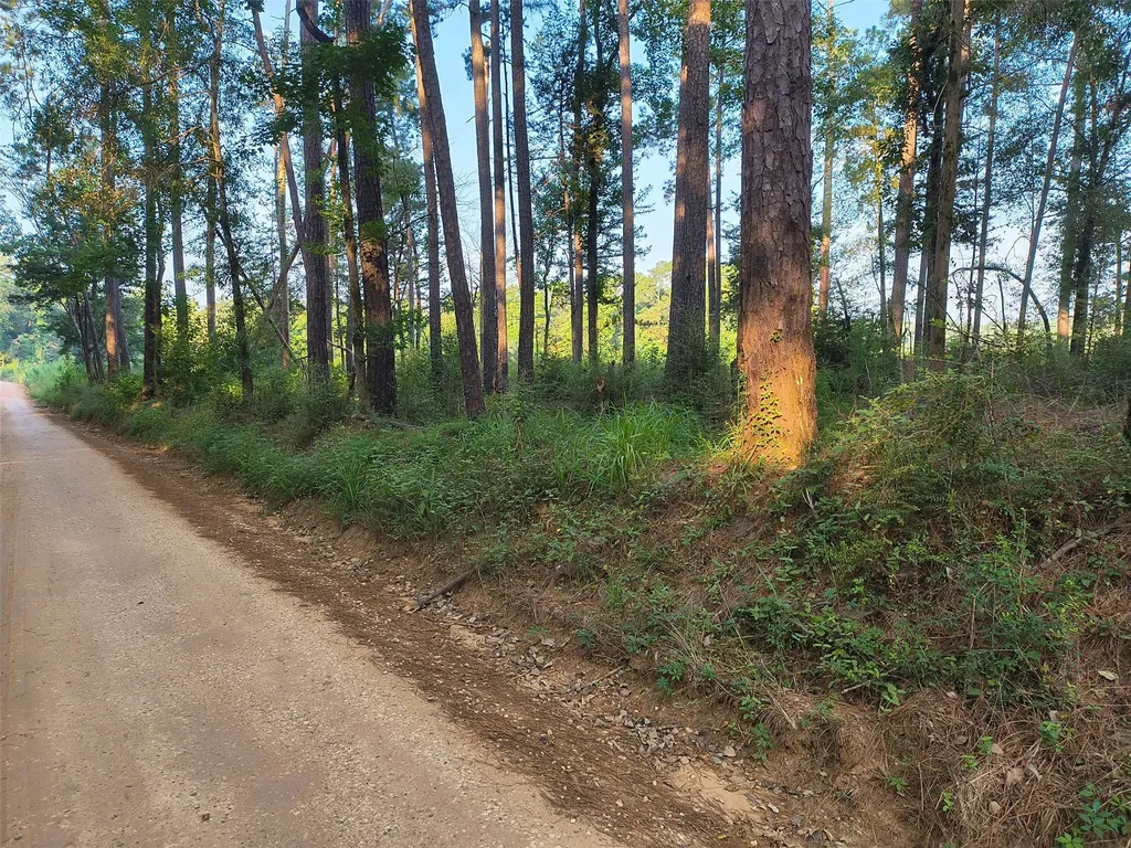 Tbd County Line Road Livingston TX 77351