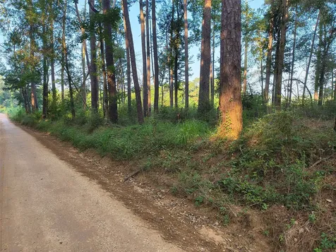 Tbd County Line Road Livingston TX 77351