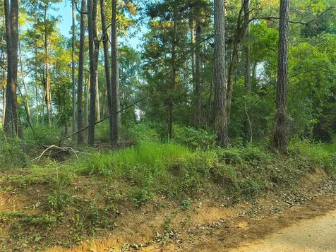 Tbd County Line Road Livingston TX 77351