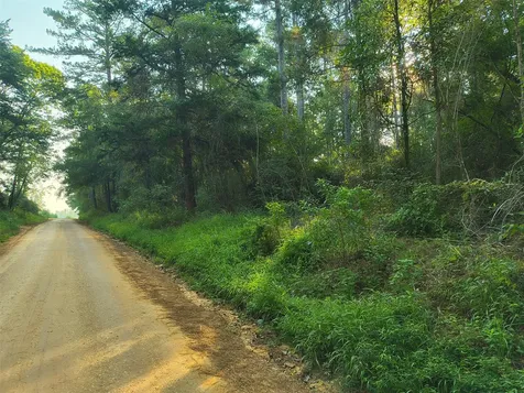 Tbd County Line Road Livingston TX 77351