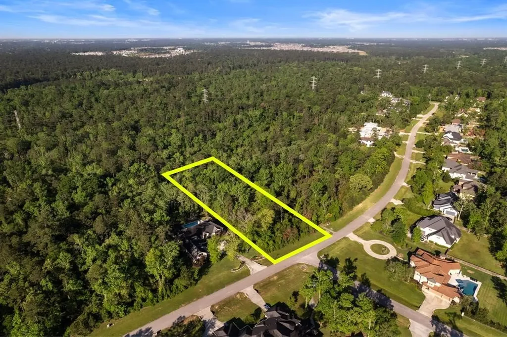 27350 Shady Hills Landing Lane Spring TX 77386