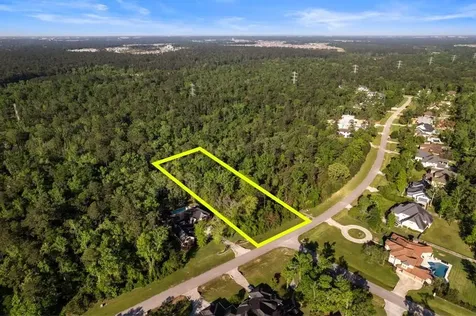 27350 Shady Hills Landing Lane Spring TX 77386