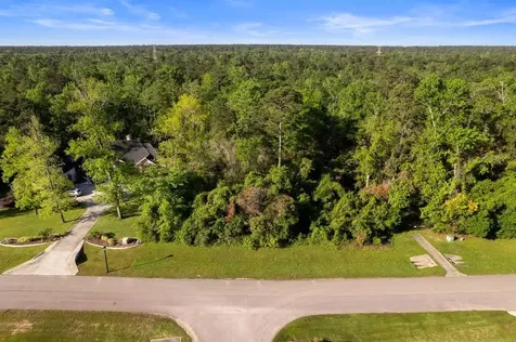 27350 Shady Hills Landing Lane Spring TX 77386