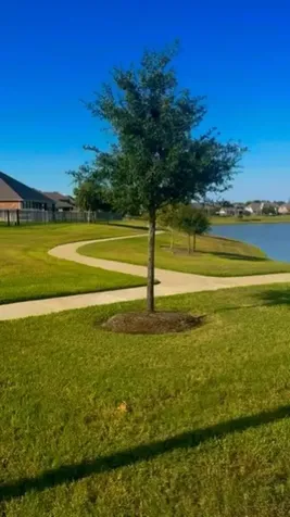 4307 Annandale Lane Rosharon TX 77583