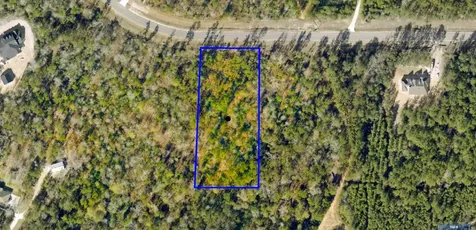 11794 Grand North Road Willis TX 77378