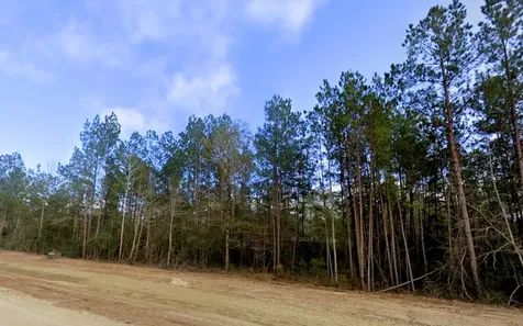 11794 Grand North Road Willis TX 77378