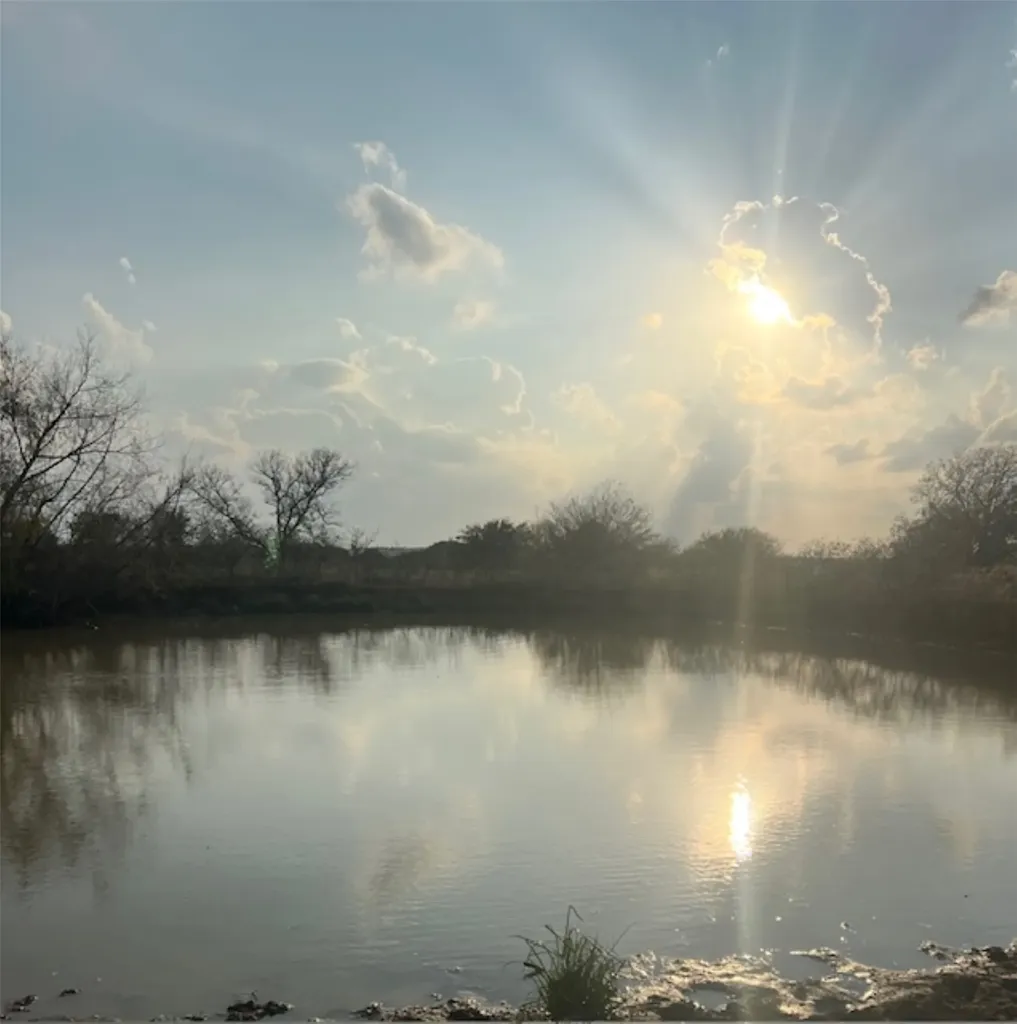 28 Acres Shaws Bend Road Columbus TX 78934
