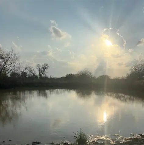 28 Acres Shaws Bend Road Columbus TX 78934