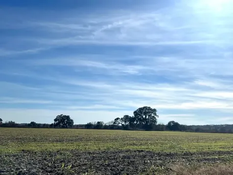 28 Acres Shaws Bend Road Columbus TX 78934